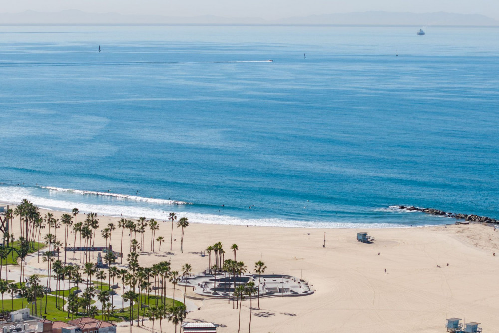 Venice Beach 2