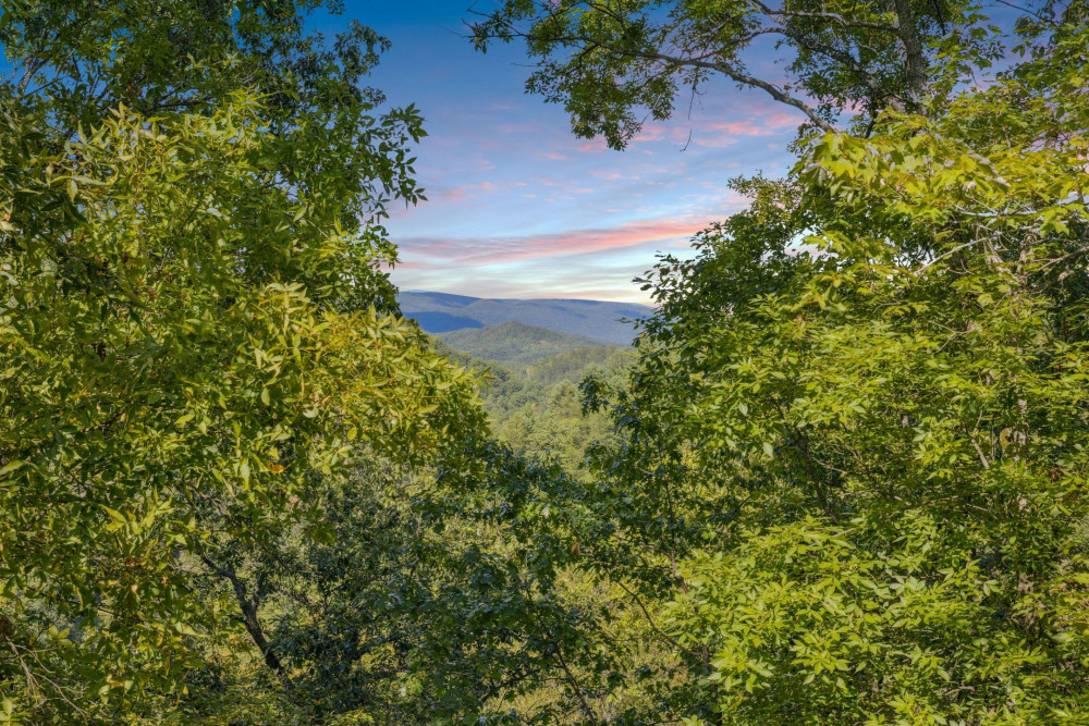 Sevierville 270