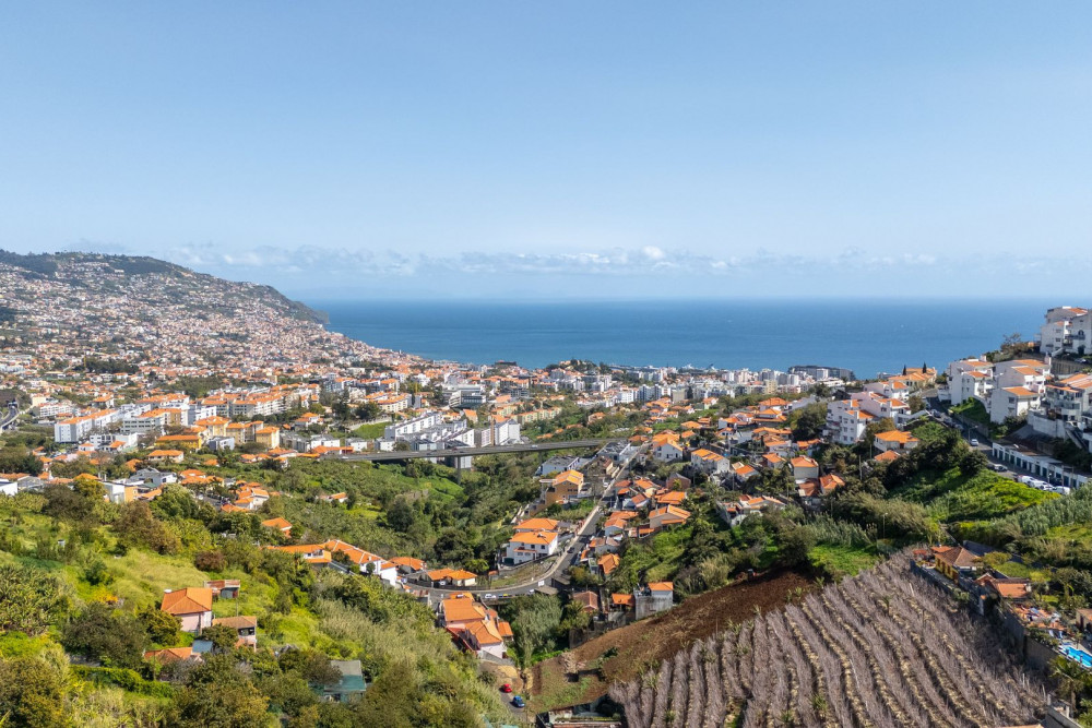 Funchal 12