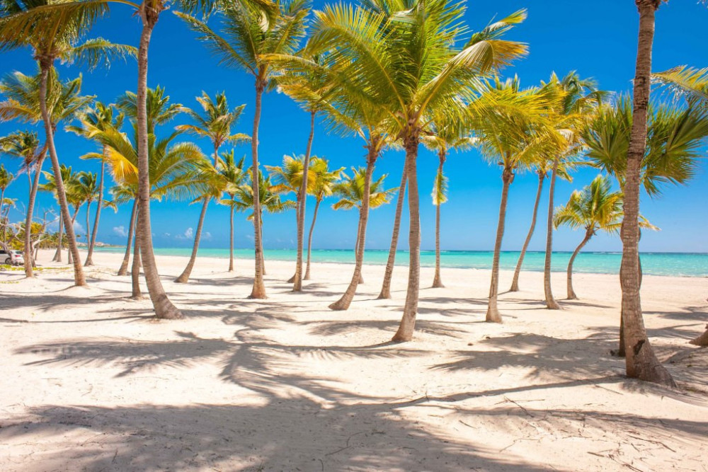 Punta Cana Resort & Club 98