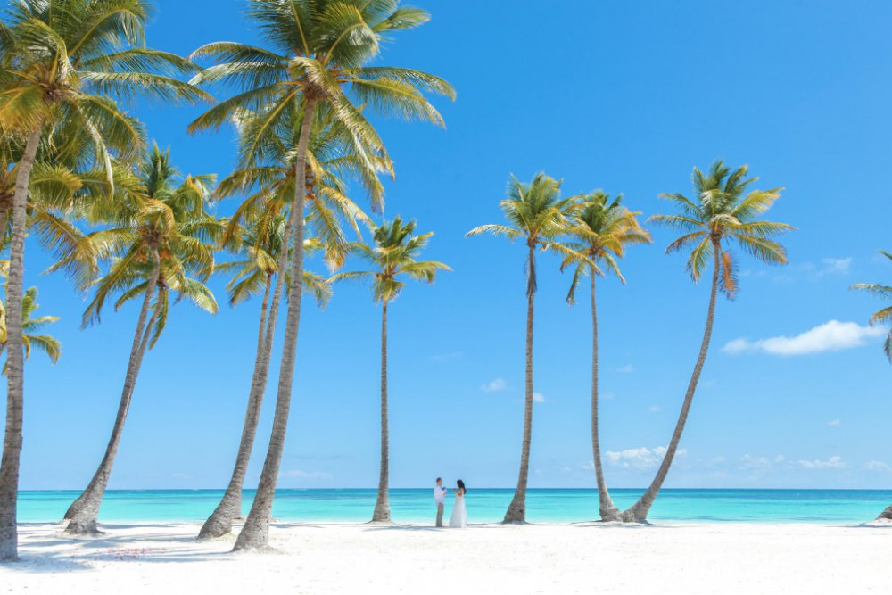 Punta Cana Resort & Club 98