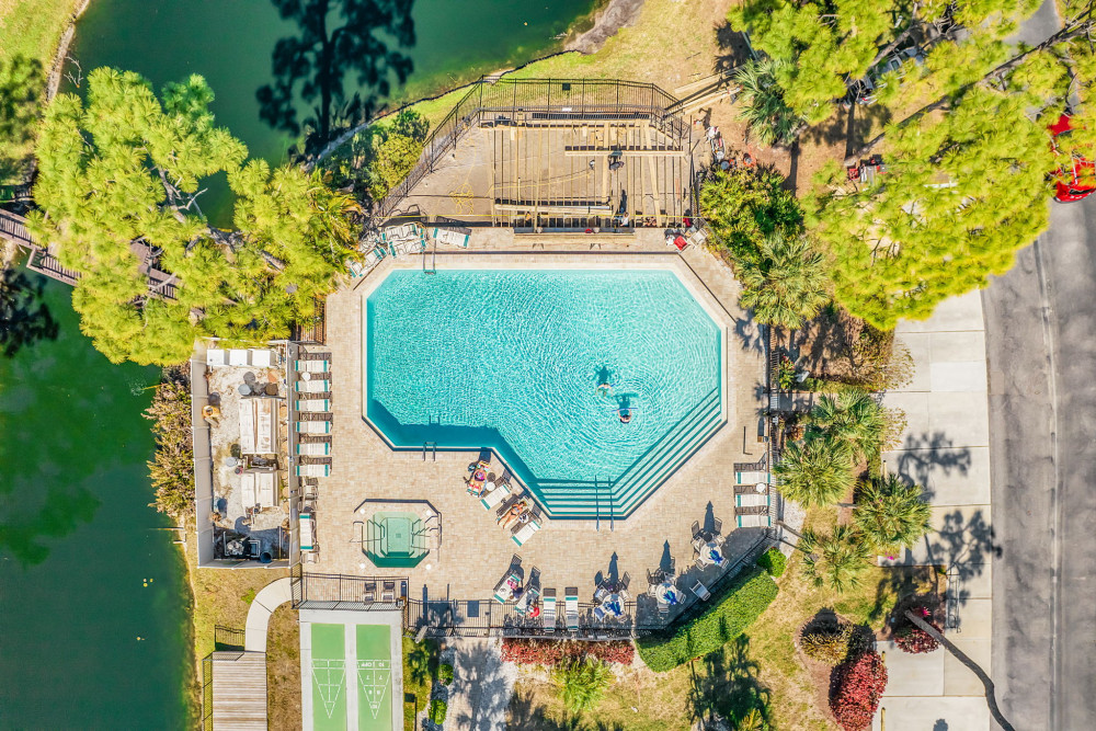 Sarasota 31