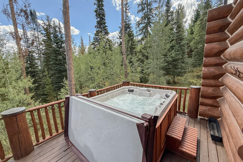 Silverthorne 5