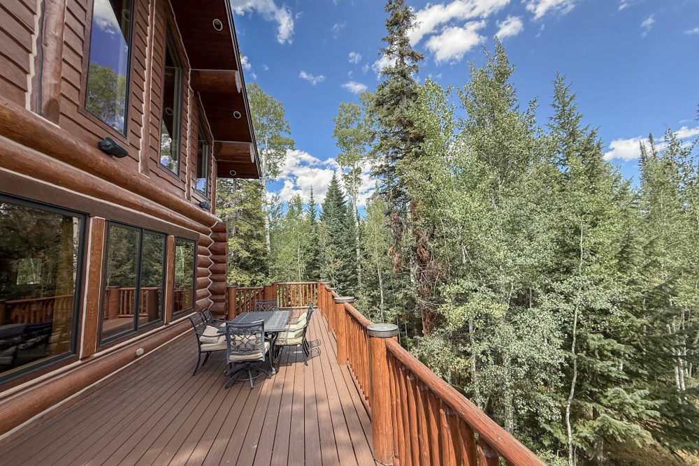 Silverthorne 5