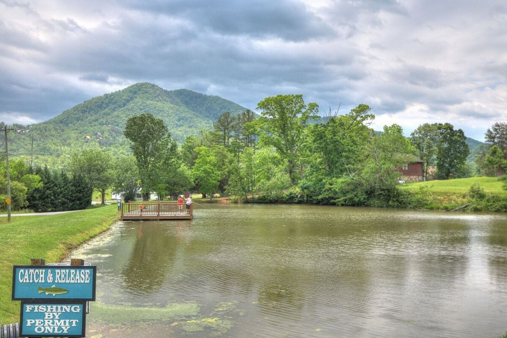 Sevierville 272
