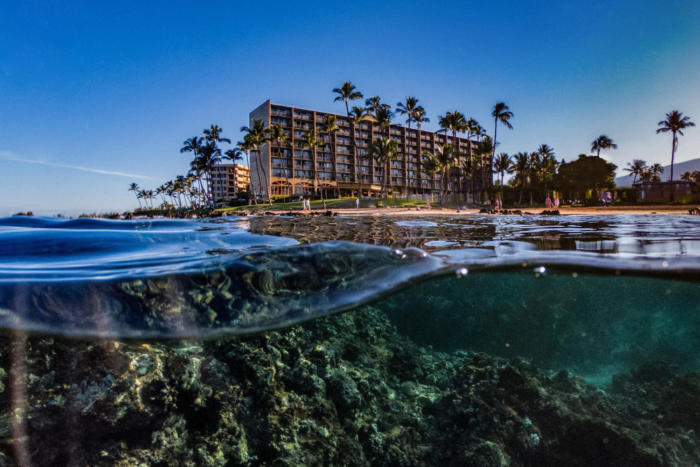 Maui 150