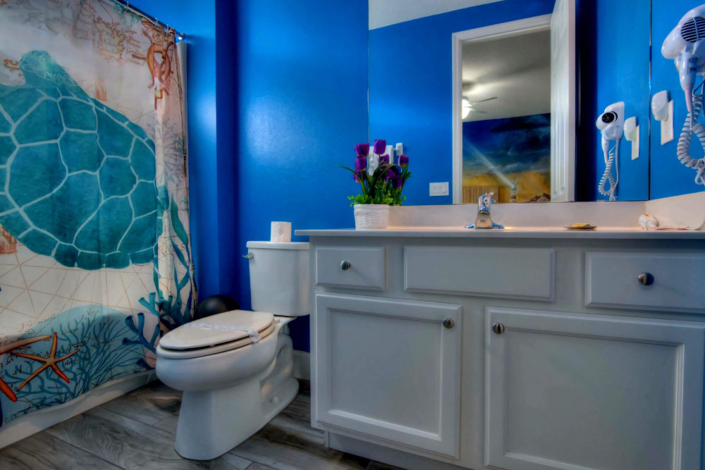 America the beautiful & Music City