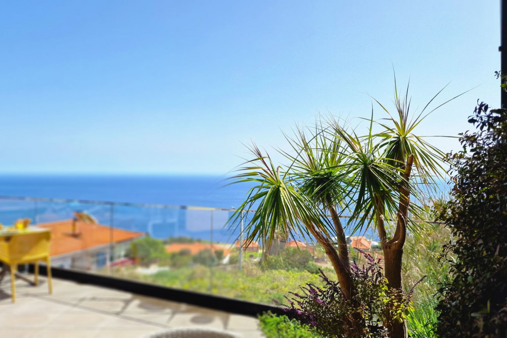 Calheta 16