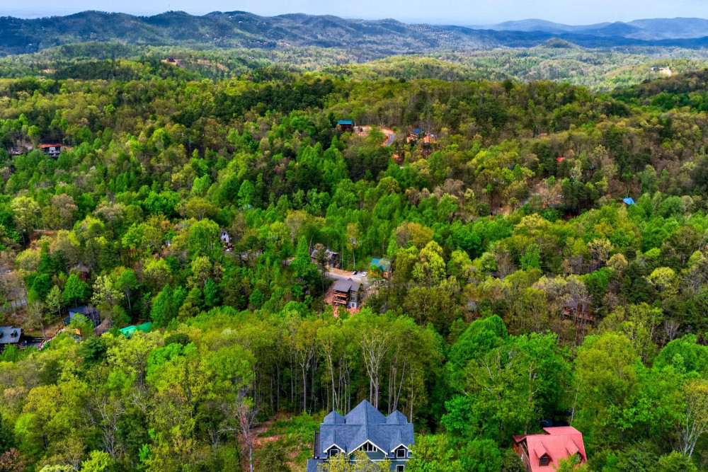 Sevierville 273