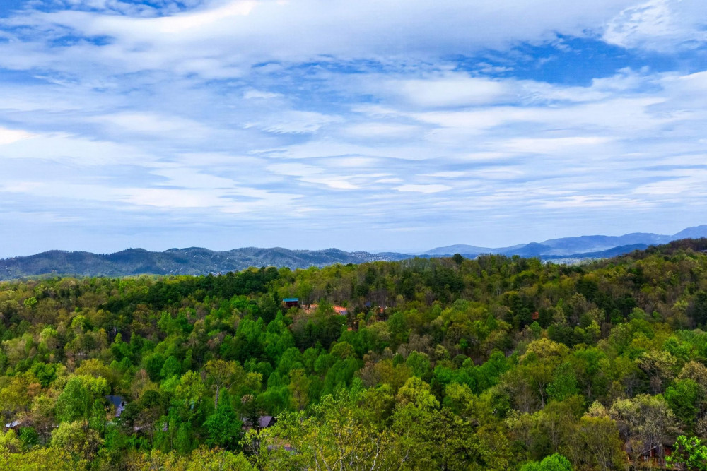 Sevierville 273