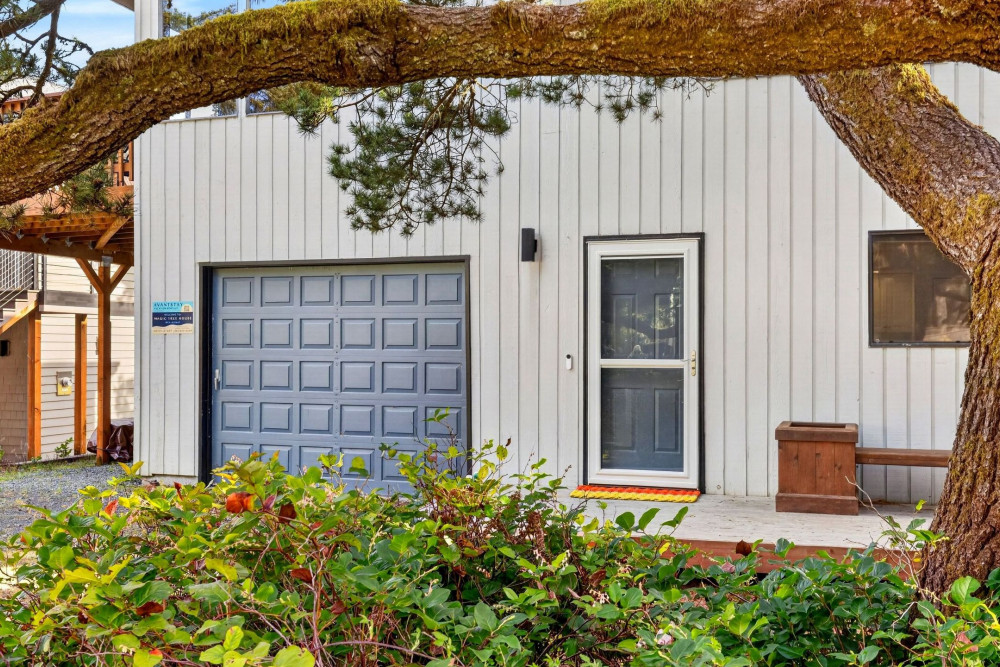 Manzanita 9
