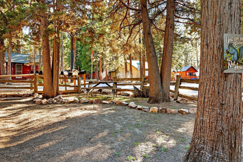 Big Bear 7