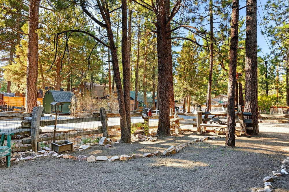 Big Bear 7