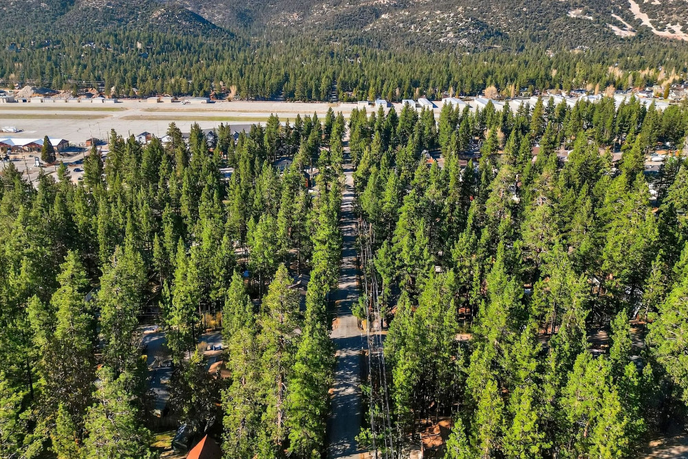 Big Bear 7