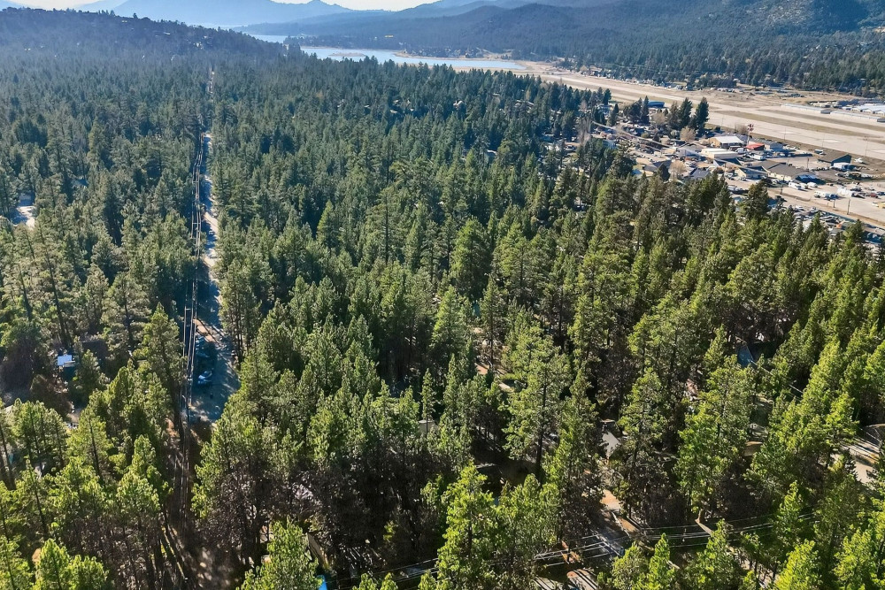 Big Bear 7