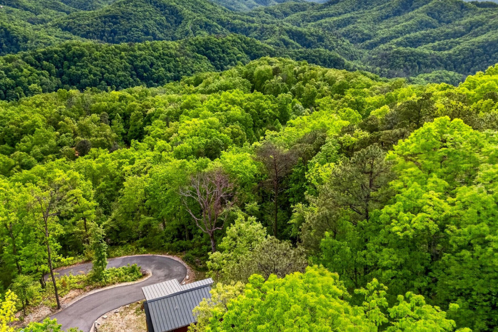 Sevierville 275