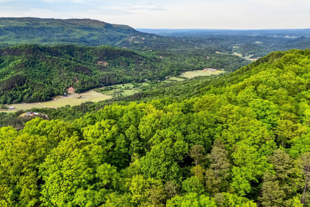 Sevierville 275