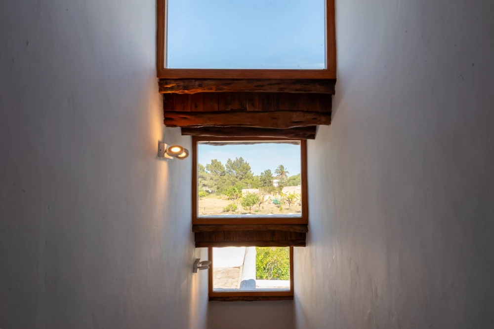 Ibiza 61