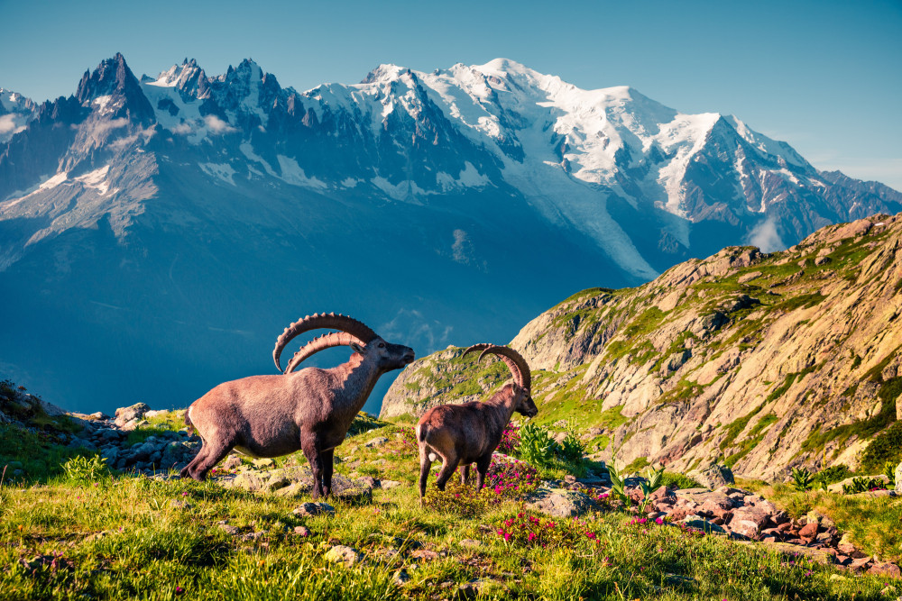 Chamonix 162