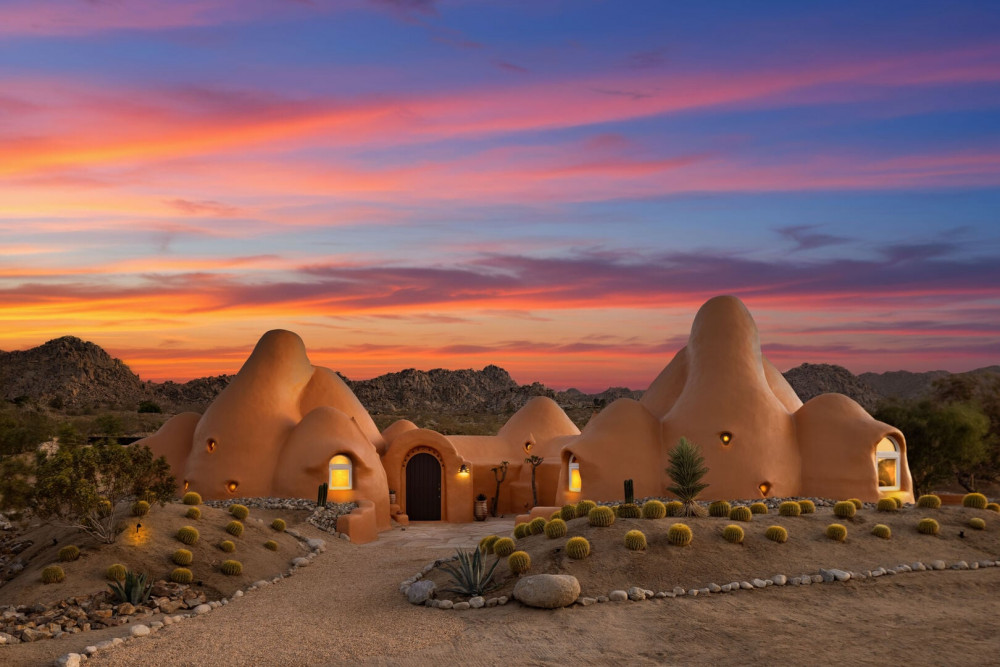 Joshua Tree 82