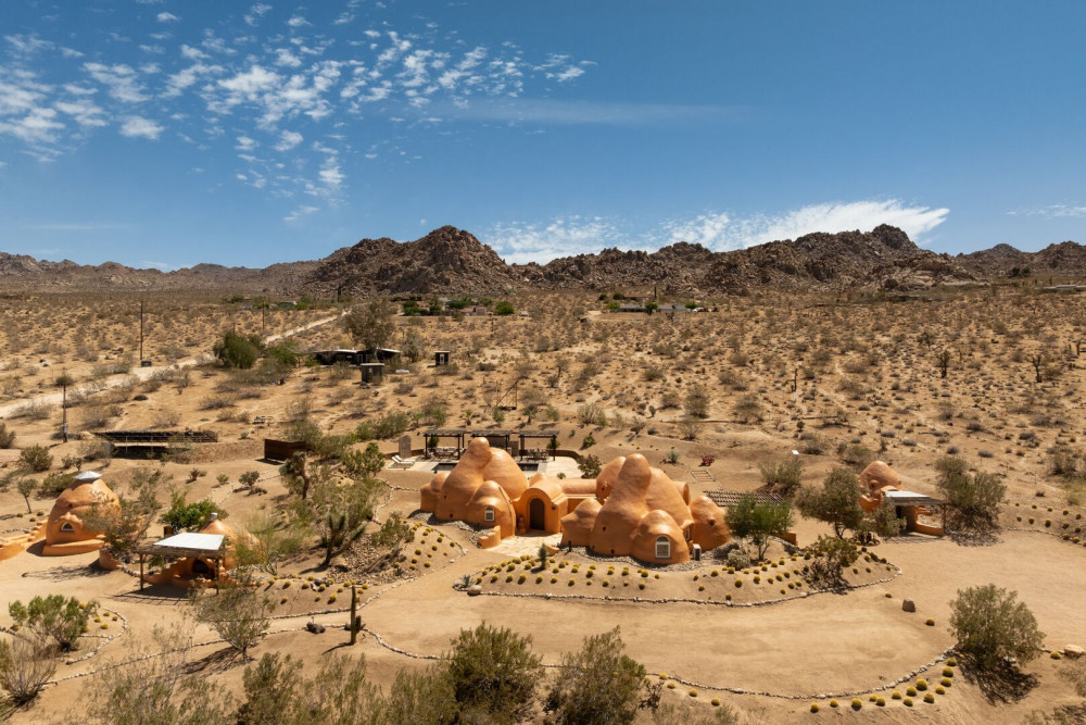 Joshua Tree 82