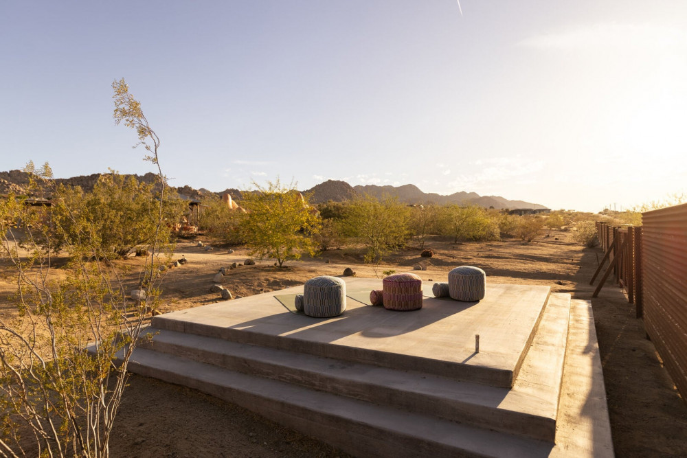 Joshua Tree 82