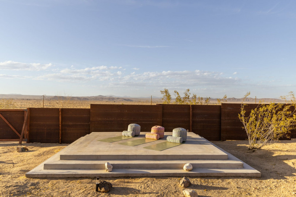 Joshua Tree 82