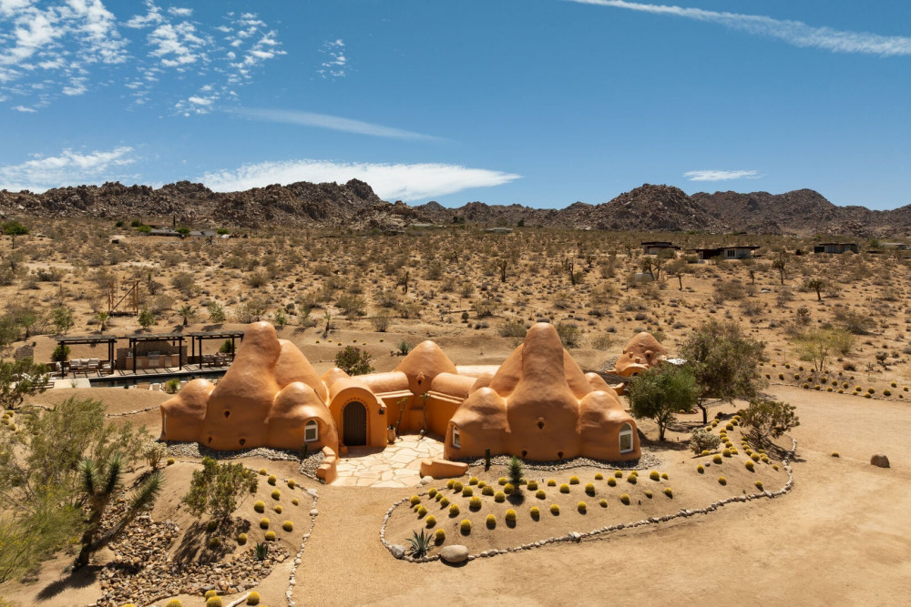 Joshua Tree 82