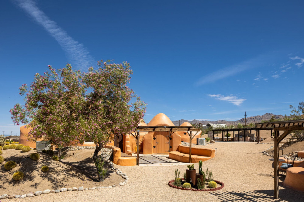 Joshua Tree 82
