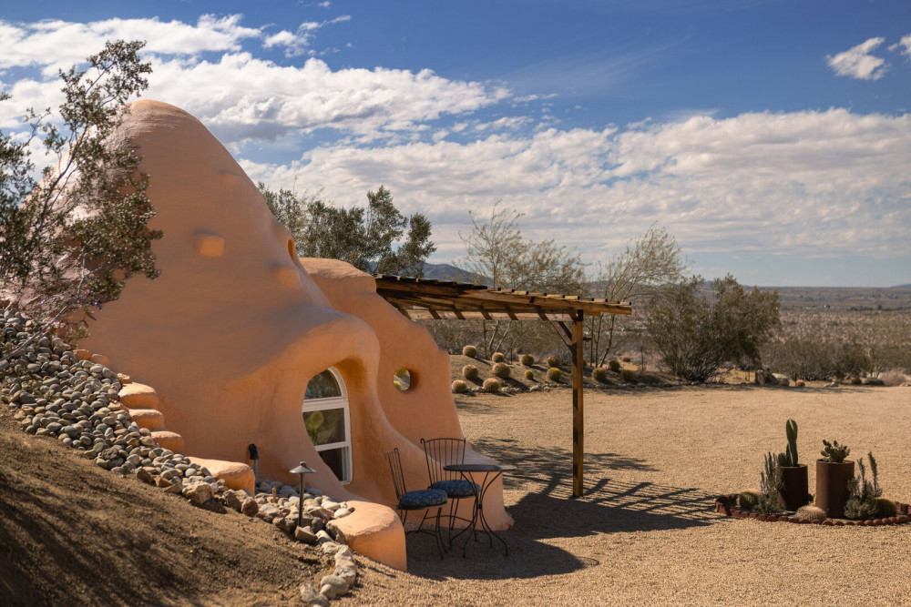 Joshua Tree 82