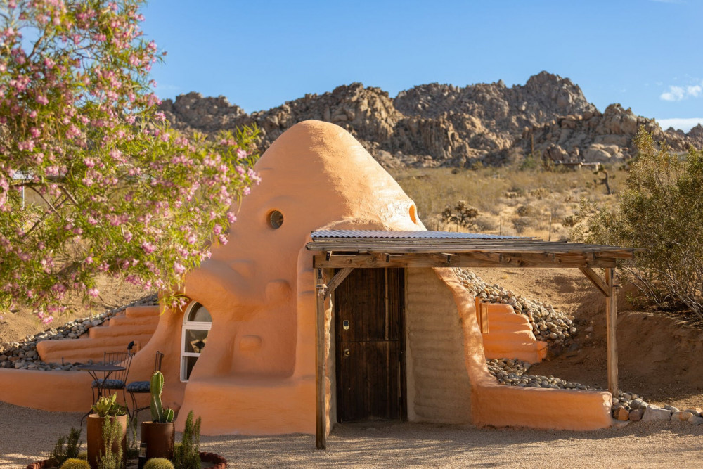 Joshua Tree 82
