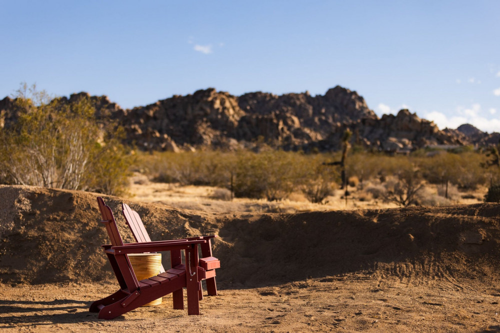 Joshua Tree 82
