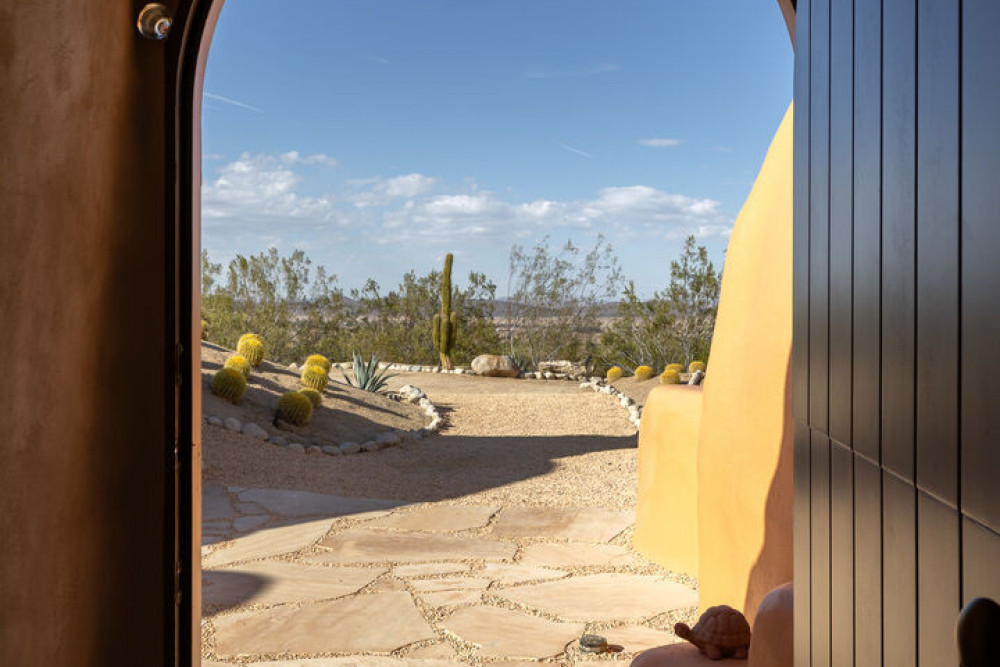 Joshua Tree 82