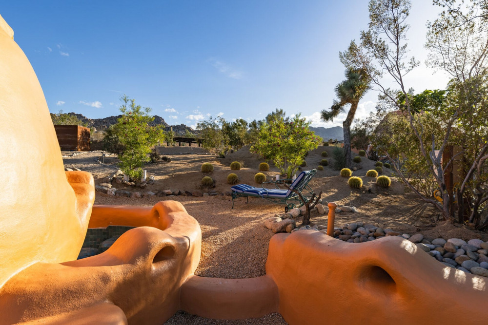 Joshua Tree 82