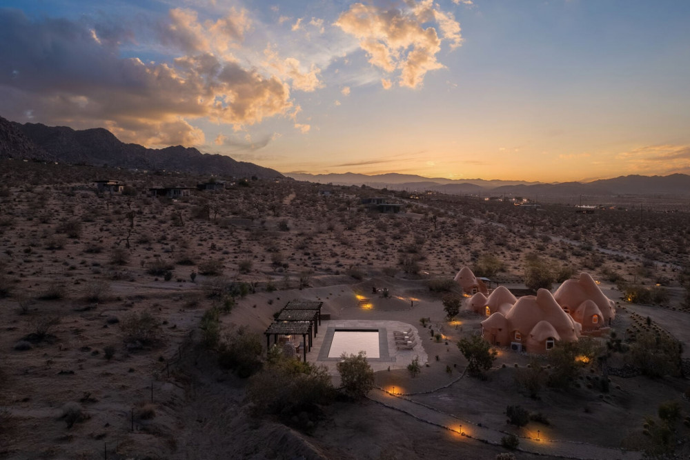 Joshua Tree 82