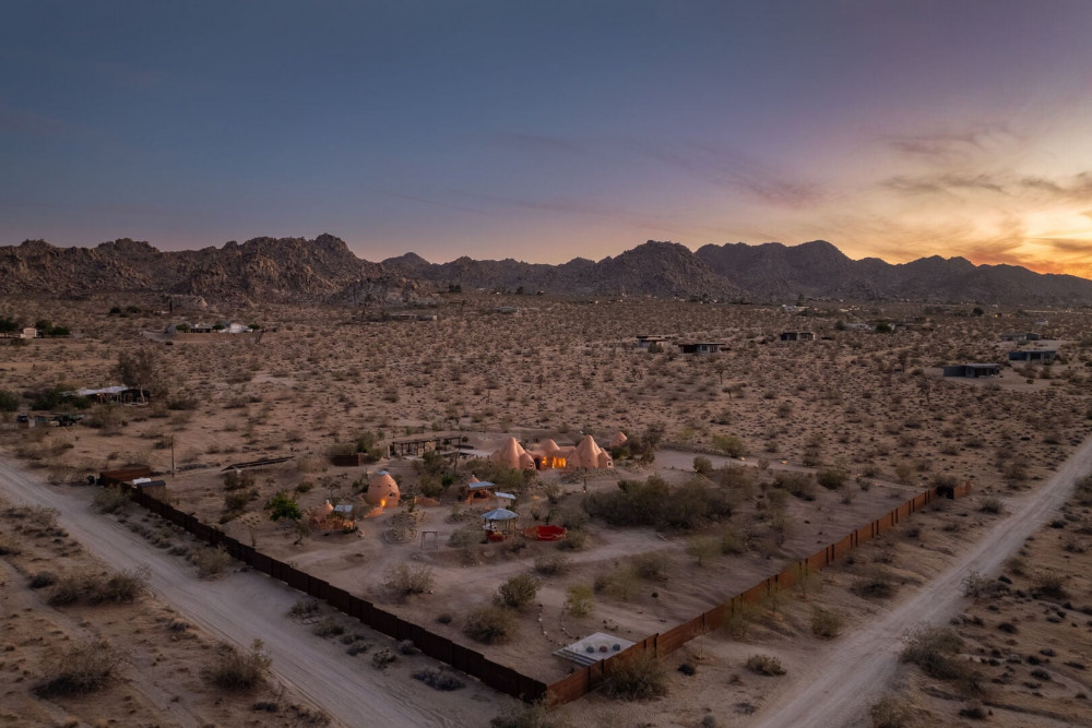 Joshua Tree 82