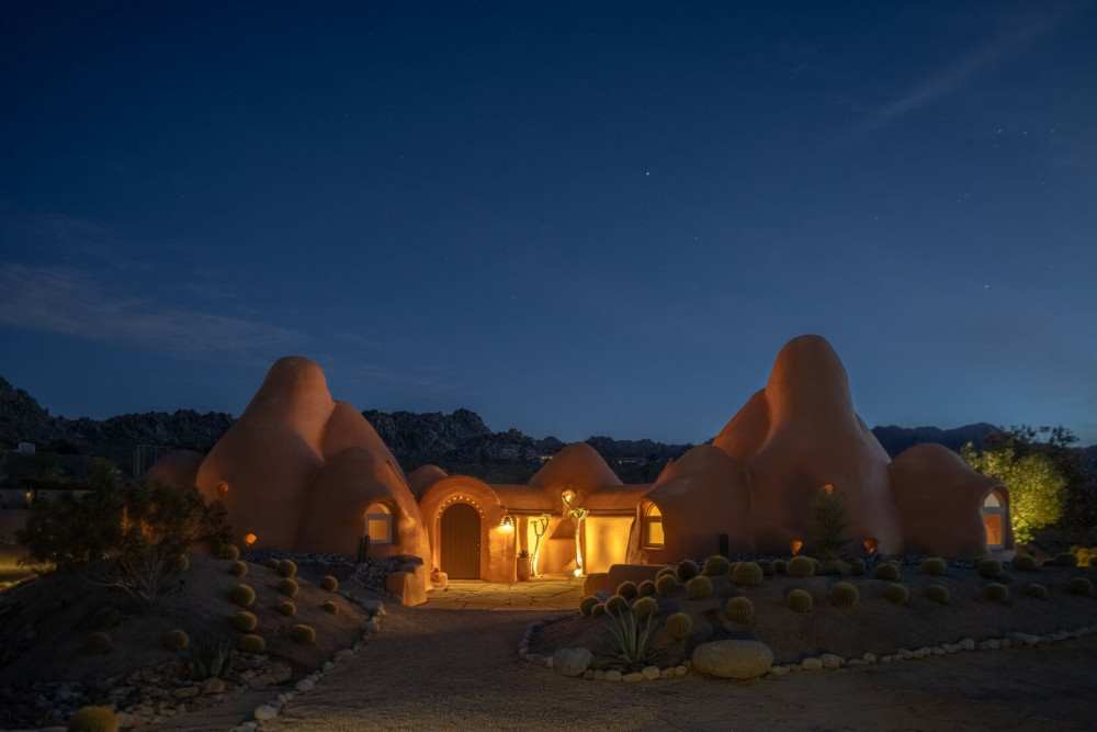 Joshua Tree 82