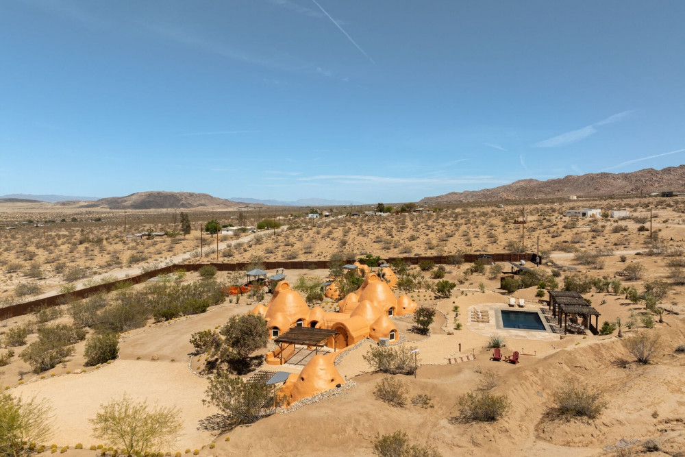 Joshua Tree 82