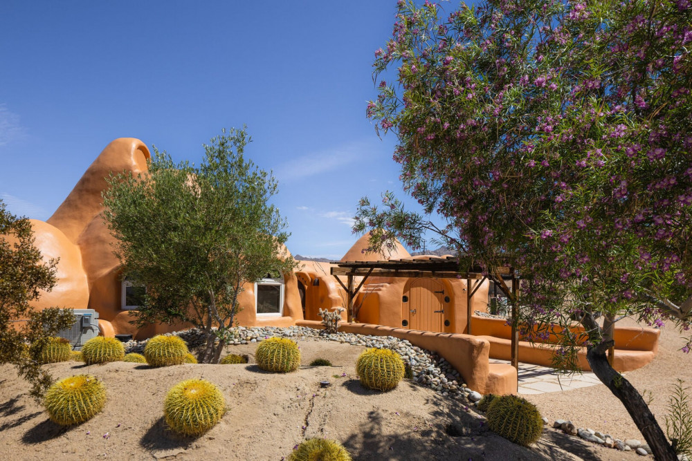 Joshua Tree 82