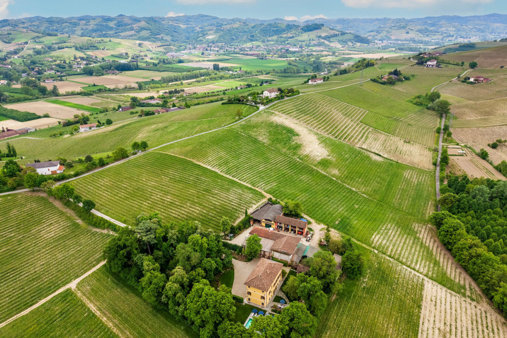 Piedmont 29