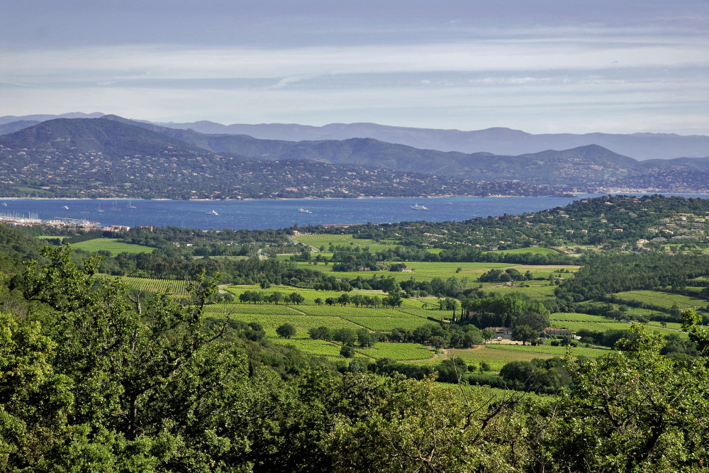 Saint Tropez 12
