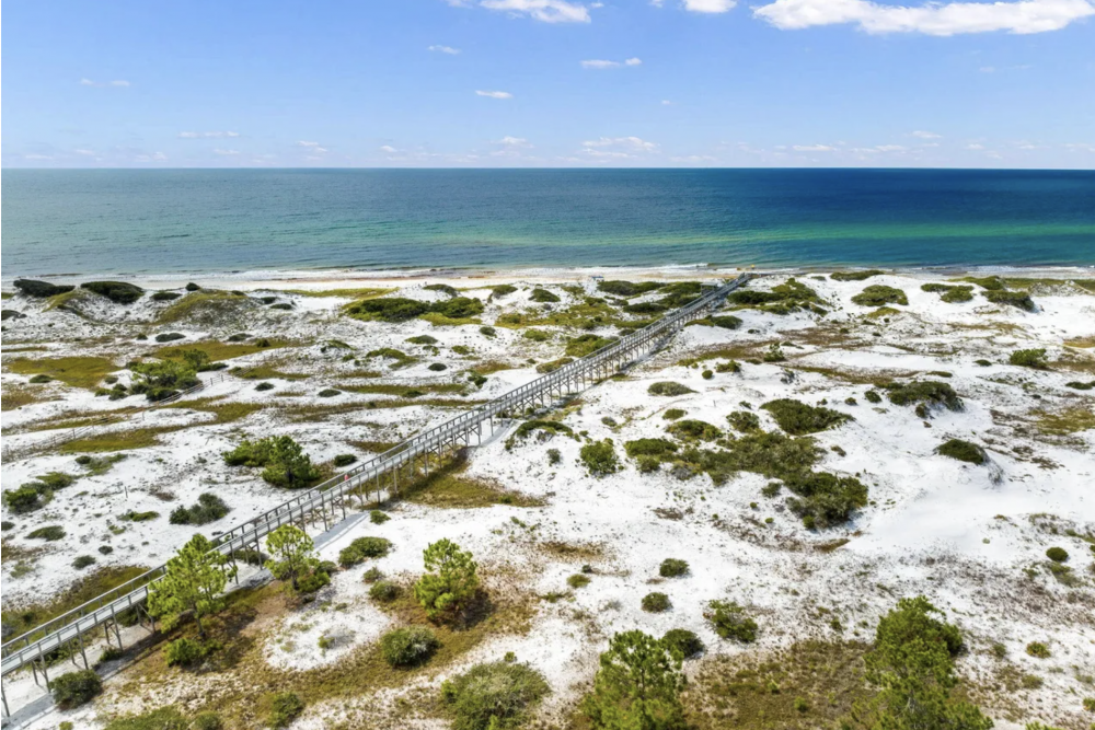 Inlet Beach 62