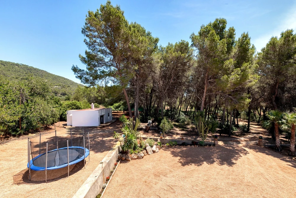 Ibiza 39