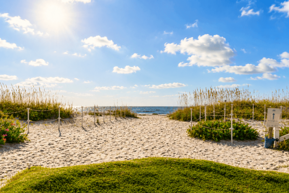Isle of Palms 176