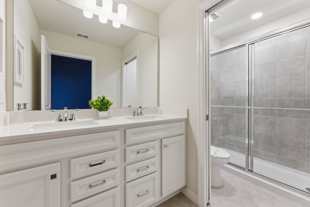 Windsor Cay 305