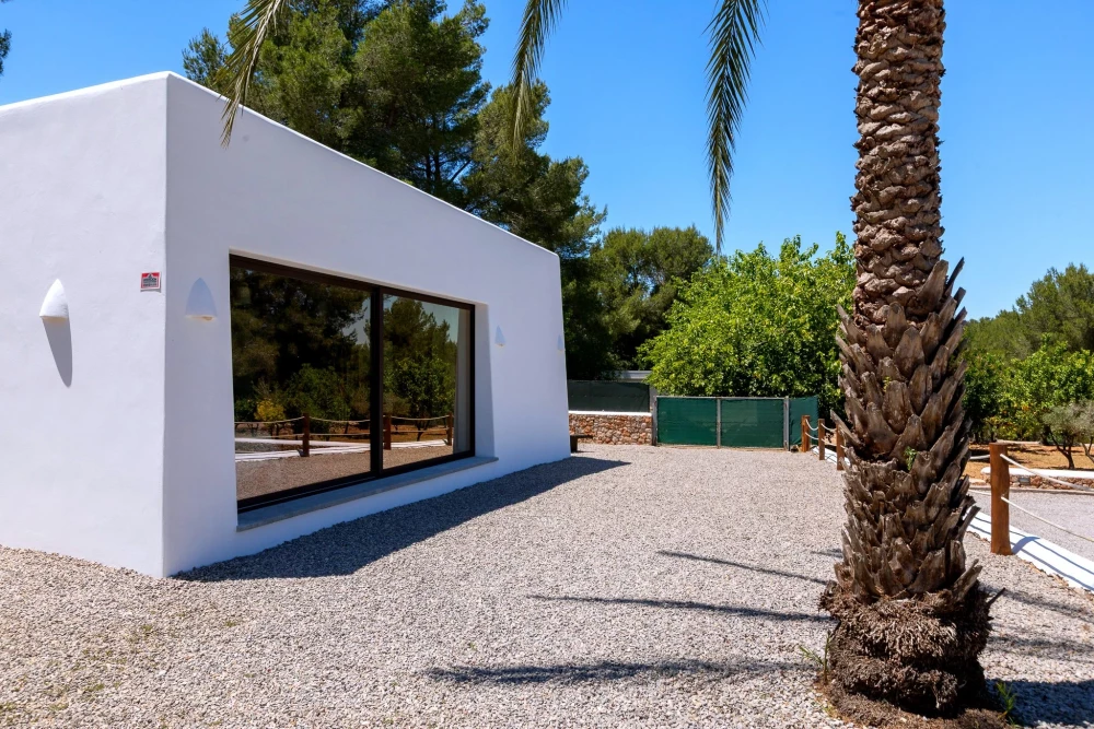 Ibiza 60