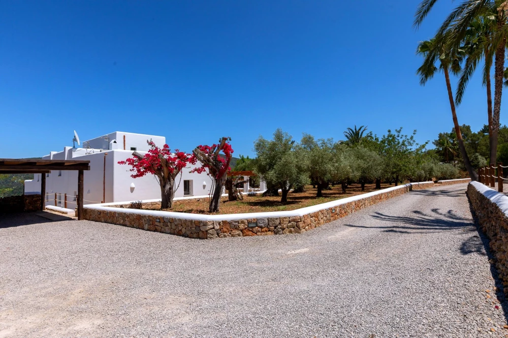 Ibiza 60