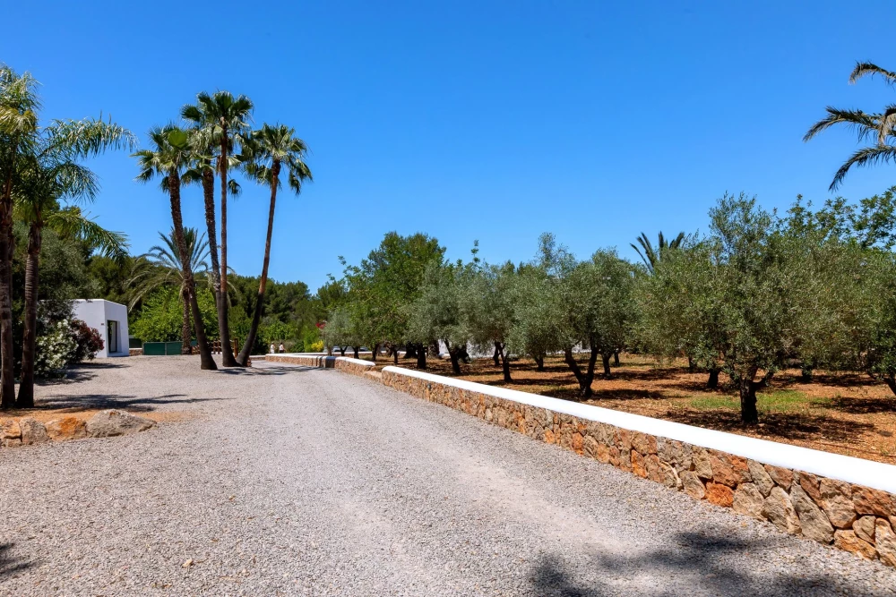 Ibiza 60