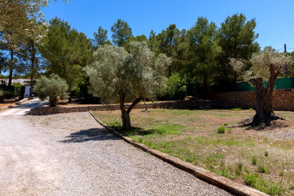 Ibiza 60