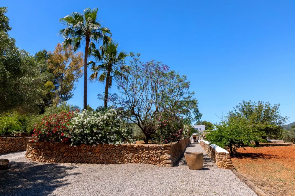 Ibiza 60